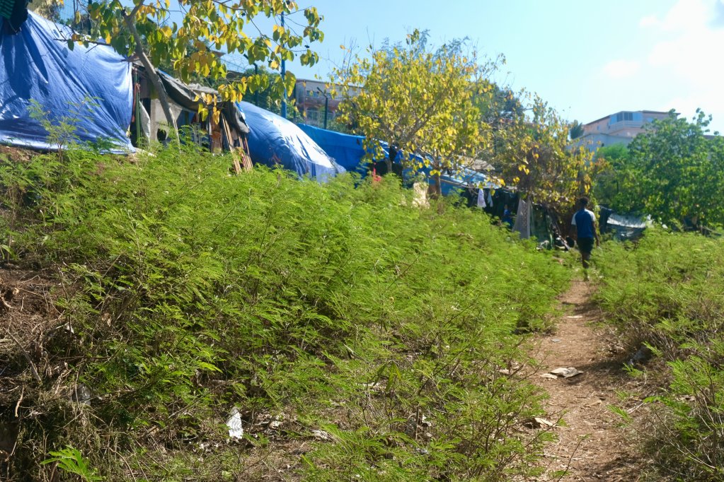 Au stade Cavani, les migrants n'ont pas accès à l'eau ou a l'électricité. Crédit : Daniel Gros / LDH