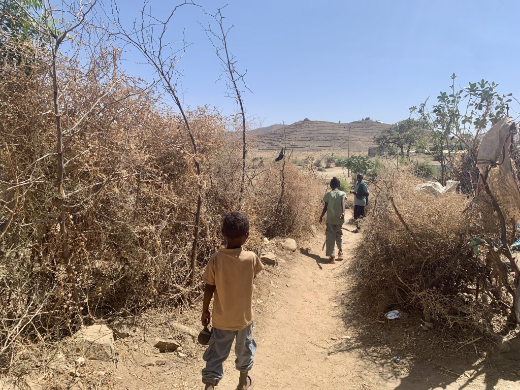 The camp houses displaced people from western Tigray, which is occupied by authorities from the neighboring Amhara region |  Photo: Marlène Panara/InfoMigrants