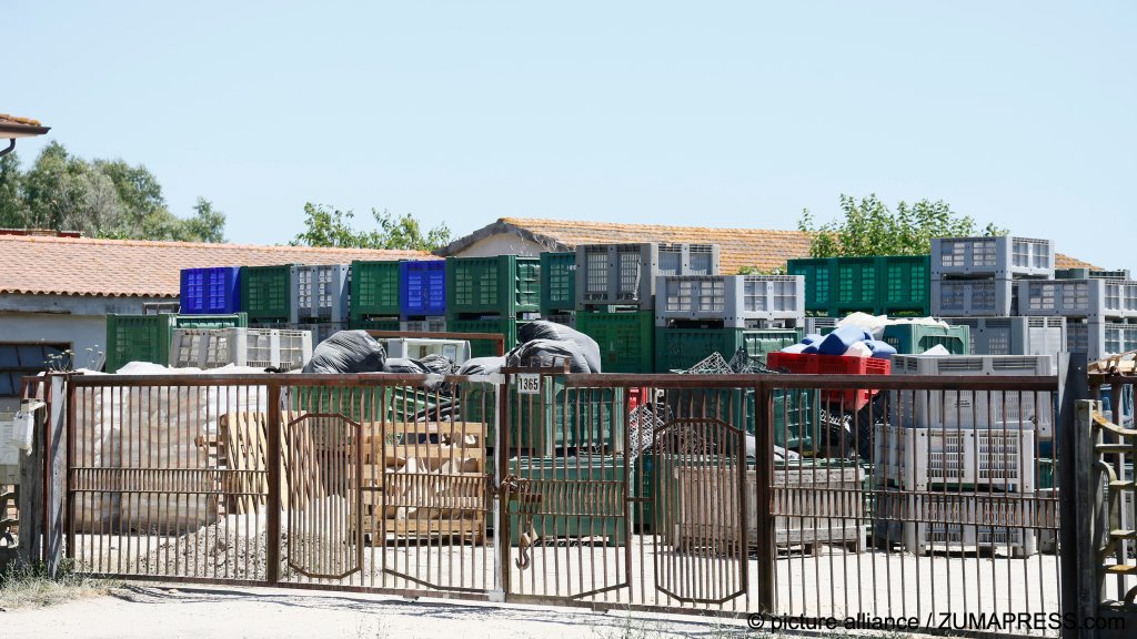 A shot of the yard of the agricultural business where Singh and others worked | Photo: Cecilia Fabiano / picture alliance / ZUMAPRESS.com
