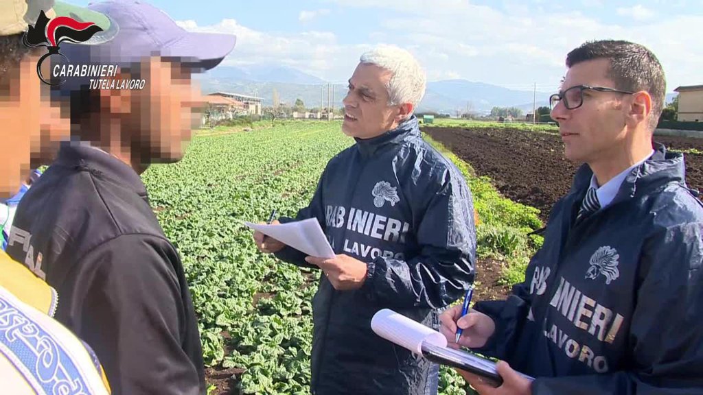From file: Police officers in Italy check up on migrants workers in the field to check that systems are not being abused | Photo: ANSA