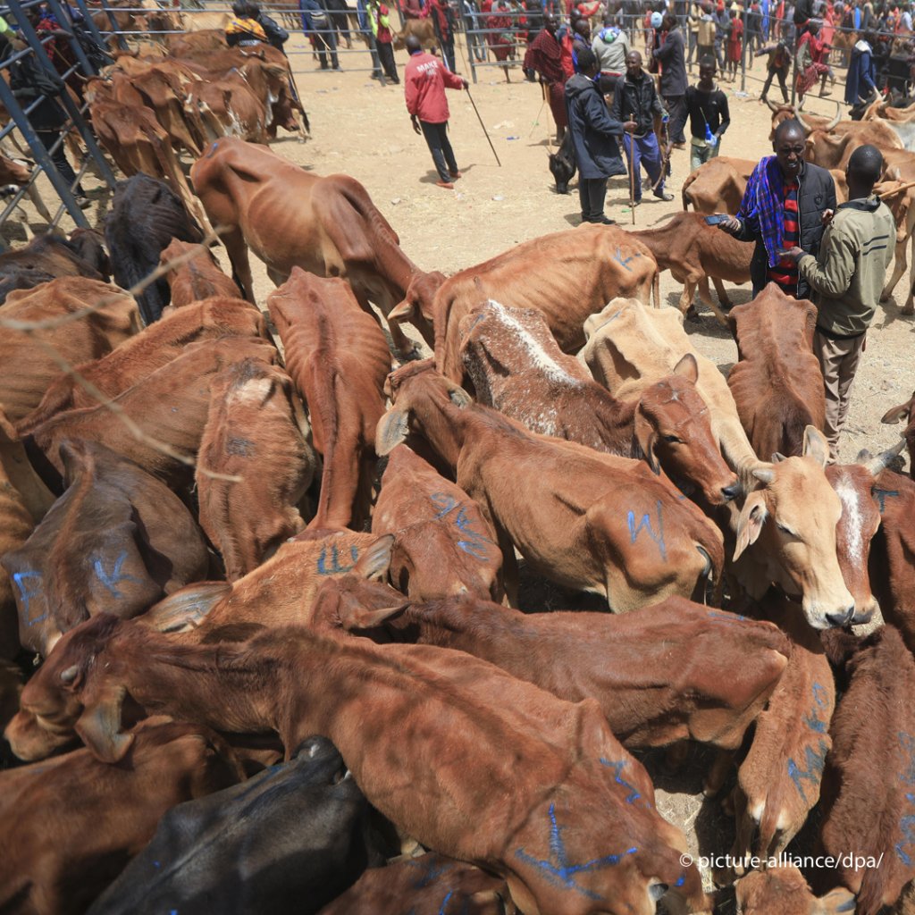 From file: Severe bouts of drought in Kenya in recent years have caused serious ripple effects affecting local farming communities and threatening people's livelihoods | Photo: Matrix Images / STR