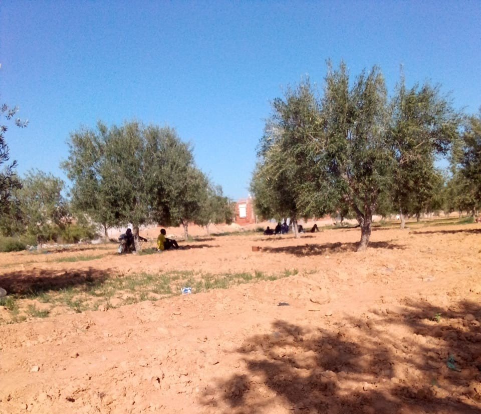 Plusieurs migrants dorment dans une plantation, à l'écart du quartier de Sfax touché par les violences. Crédit : DR