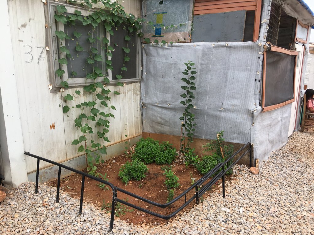 Un résident de Malakasa a construit un petit jardin autour de son habitation de fortune. Crédit : DR 