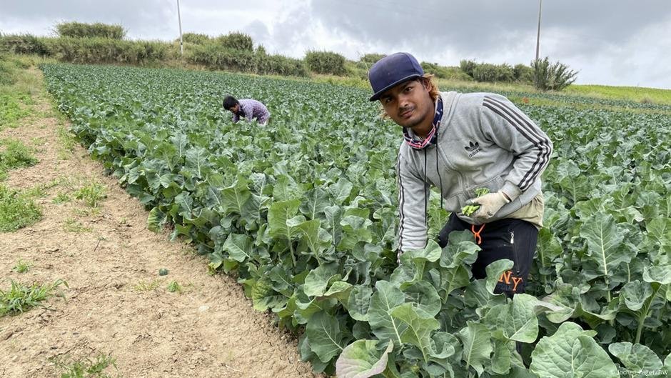 File photo: Portugal's agricultural sector is dependent on migrant workers | Photo: Jochen Faget/DW
