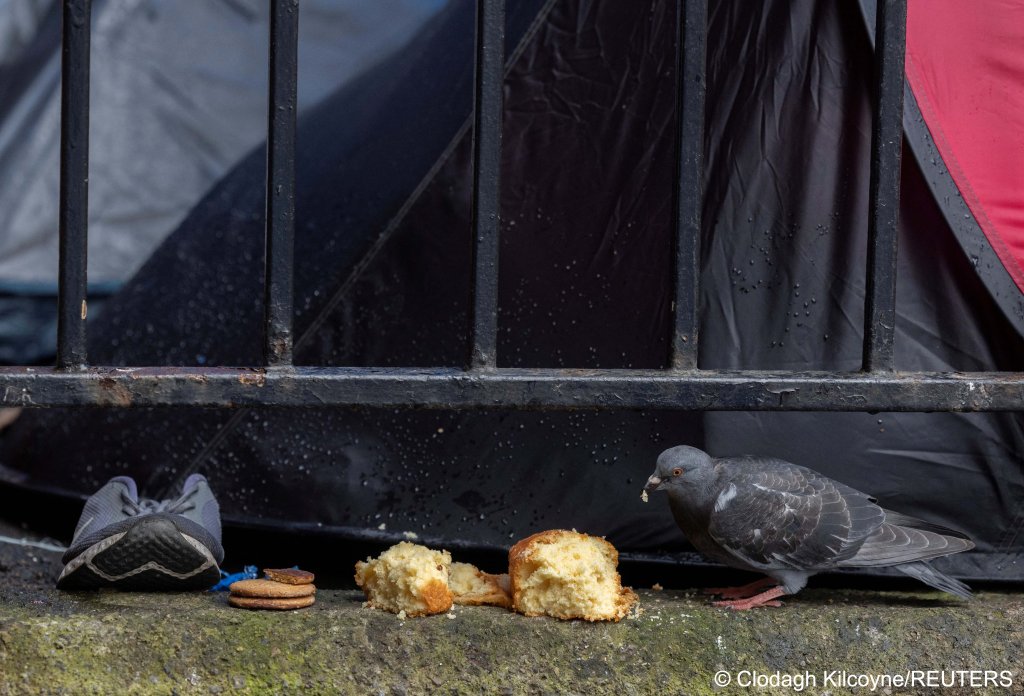 A pigeon eats a scone next to asylum seekers' tents that were pitched outside the IPO in Dublin, before being cleared on May 1 | Photo: Clodagh Kilcoyne / Reuters