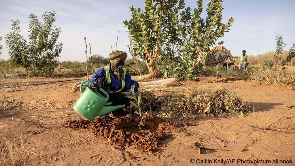 Refugees and residents plant trees in Mbera Refugee Camp, near Bassikounou, Hodh El Chargui Region, Mauritania | Photo: Caitlin Kelly/AP Photo