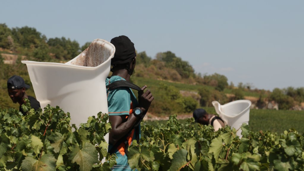 Once filled, the baskets weigh around 30 kilos | Photo: InfoMigrants