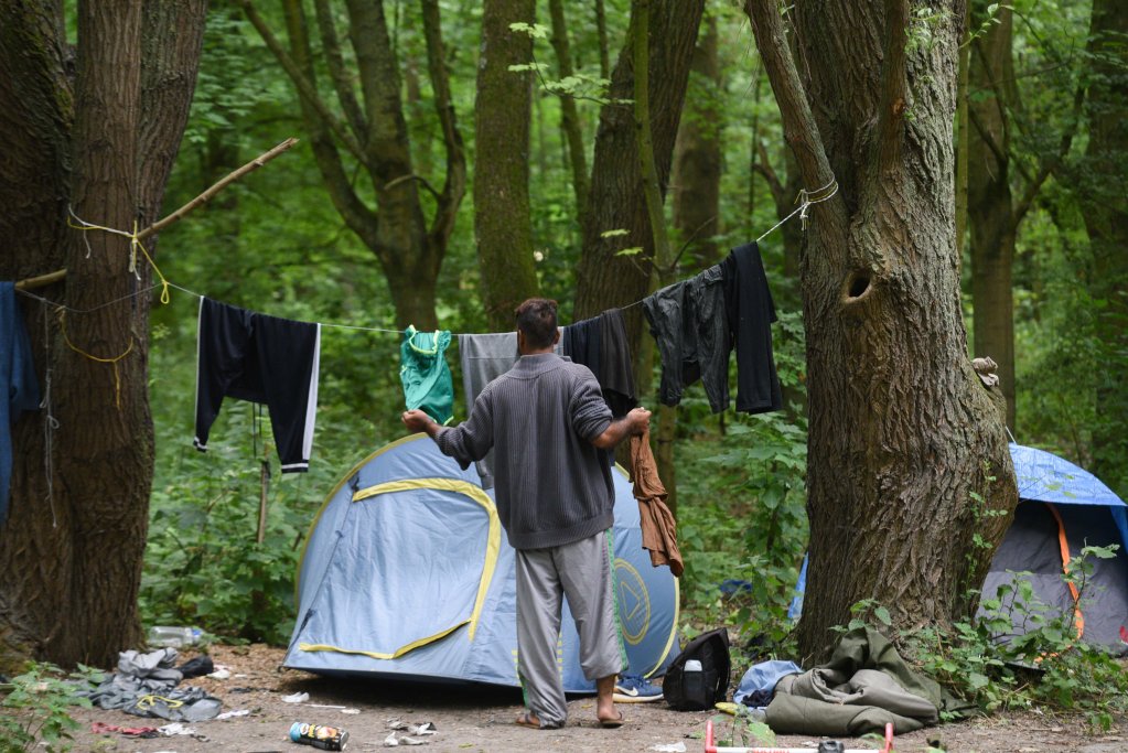 From file: Dozens of migrants are sleeping rought in the Puythouck forest near Grande-Synthe | Photo: Mehdi Chebil / InfoMigrants