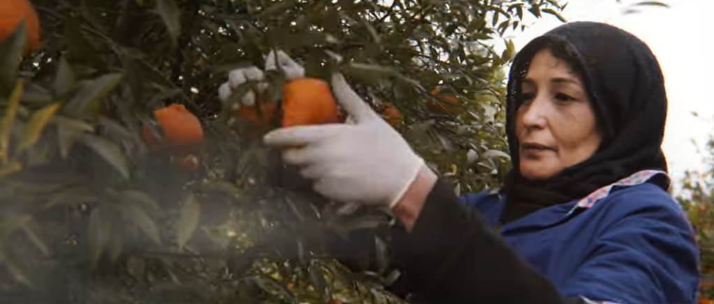 At the moment the Sicilian Region is trying to help agricultural workers with contracts, but eventually, they need to also offer help to the most vulnerable, those with no legal status | Photo: Screenshot from Sicilian Region Diritti negli Occhi campaign