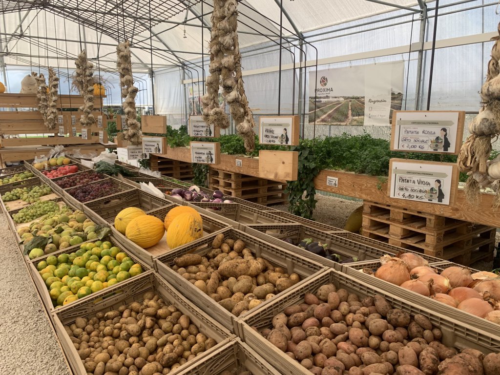 La coopérative vend ses fruits et légumes aux habitant de la région. Crédit : Emma Wallis / InfoMigrants