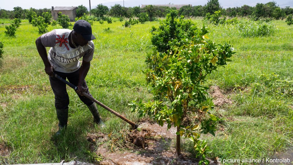 File photo: An immigrant who works on a farm in southern Italy. According to the World Health Organization, manual laborers are more susceptible to suffering from the effects of heat exposure | Photo: picture alliance