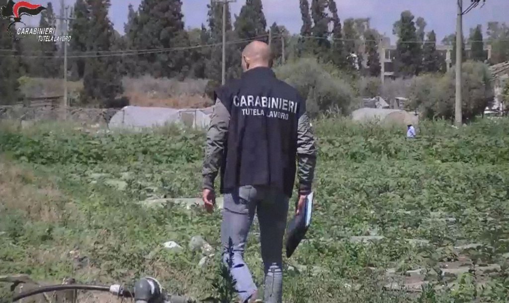 From file: Carabinieri investigate another case in Sicily | Photo: ANSA