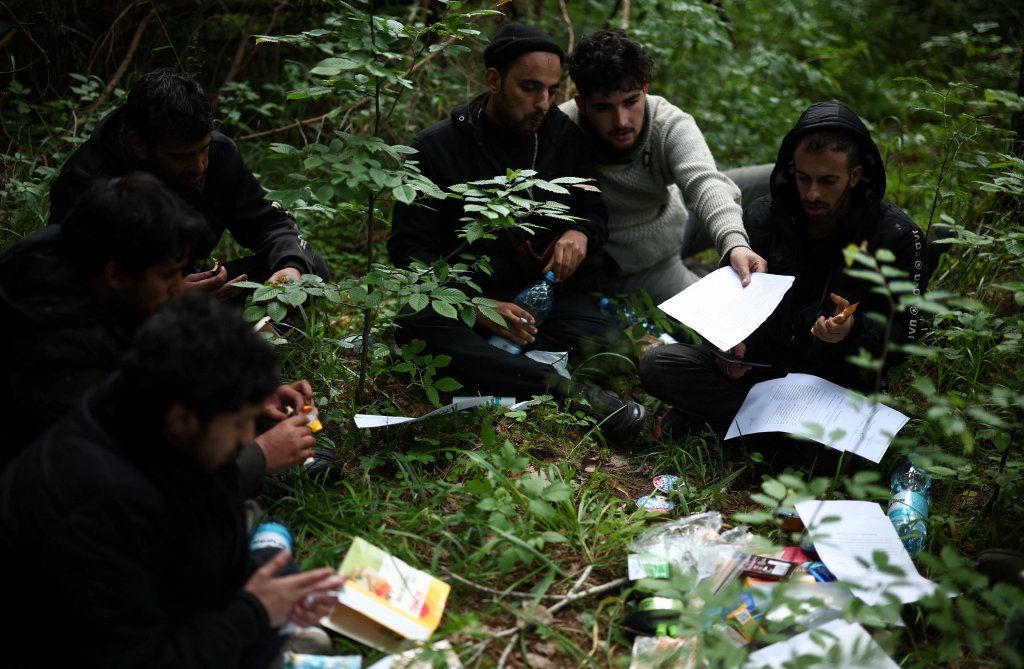 Un groupe de migrants, principalement originaires du Yémen, reçoit l'aide de militants d'organisations humanitaires dans la forêt près de Grudki, en Pologne, le 4 juin 2024. Crédit : Reuters
