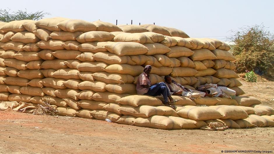 In some areas, warring parties have deliberately destroyed food | Photo: EBRAHIM HAMID/AFP/Getty Images