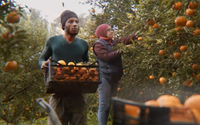 Farm workers who spend long hours working under the sun are more likely to experience heat-related injuries| Photo: Screenshot from Sicilian Region's Diritti negli Occhi campaign to give rights to migrant workers