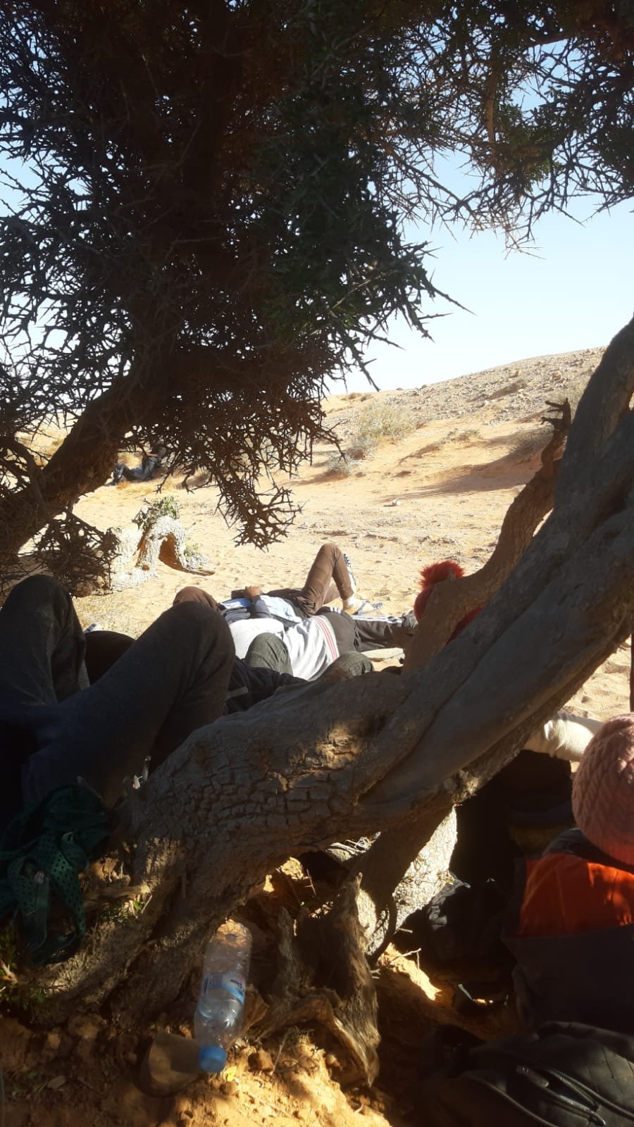 Des migrants dans le désert après avoir été interpellés par les autorités marocaines. Crédit : DR