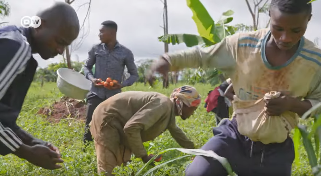 File photo: In some parts of Europe, cases of trafficking for forced labor have outranked cases of sexual exploitation| Photo: Screenshot DW documentary Tomatoes and Greed