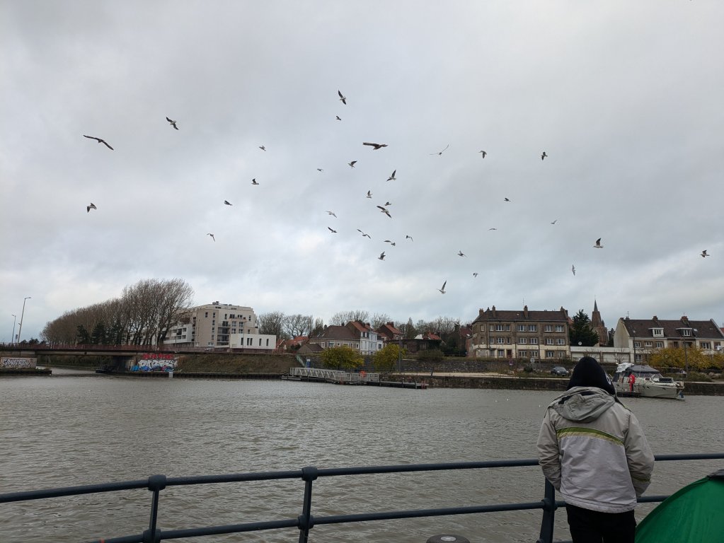 A Syrian migrant watches seagulls by the canal in the center of Calais. | Photo: InfoMigrants