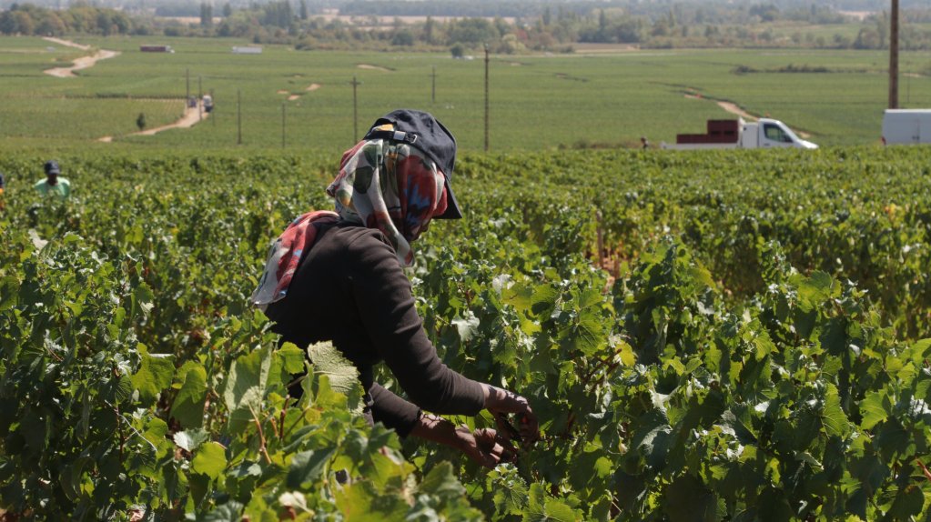 Among the 50 or so team members, only two are women | Photo: InfoMigrants