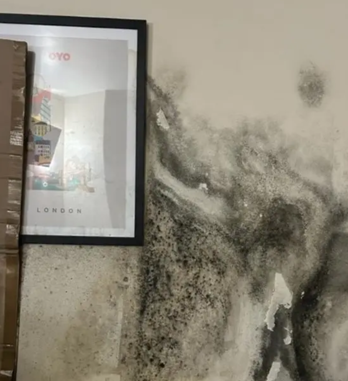 From file: Some of the accommodation used to house refugees and asylum seekers has been described as shocking by human rights watch reports and the people who live in flats like these | Photo: Private via Human Rights Watch Report