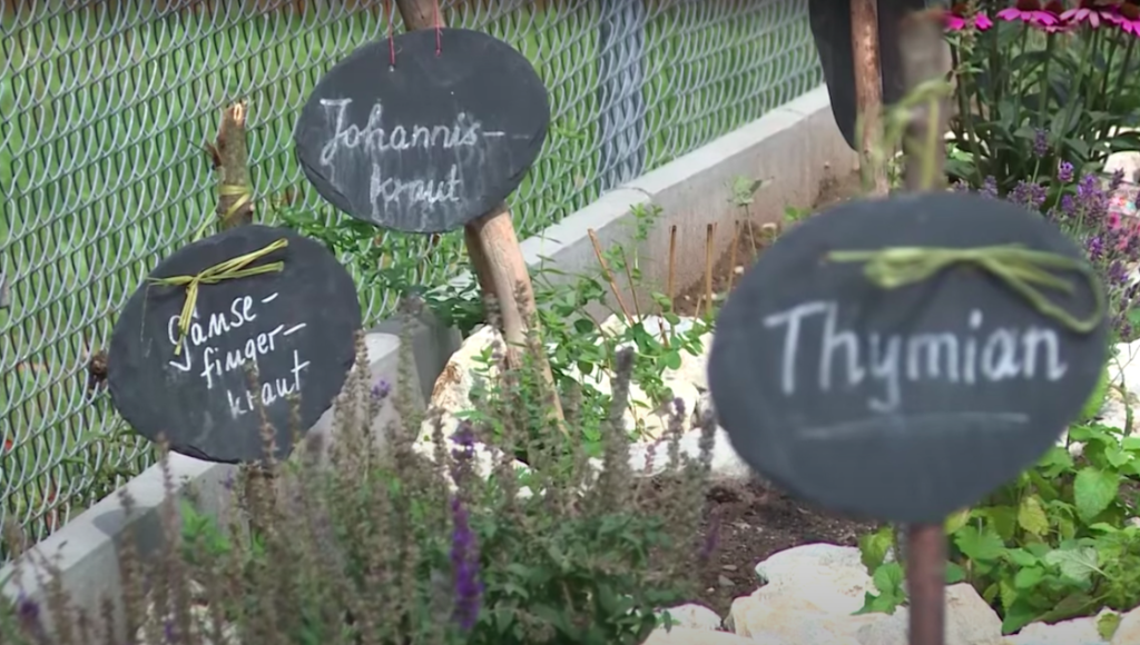 The nuns at the Maria Frieden Abbey grow vegetables and herbs in the Abbey garden | Photo: Screenshot from YouTube video by the Bamberg Archdiocese