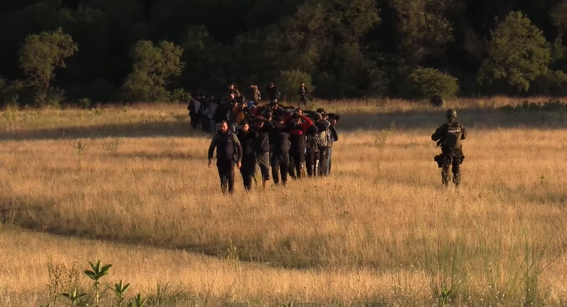 Armed police and special forces led the detained migrants through a field | Photo: Screenshot from video released by the Serbian Interior Ministry