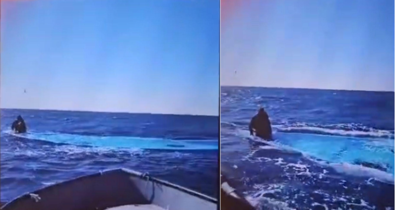 Capture d'écran d'une vidéo reçue par Alarm Phone montrant comment les pêcheurs tunisiens ont retrouvé le survivant. Crédit : Alarm Phone