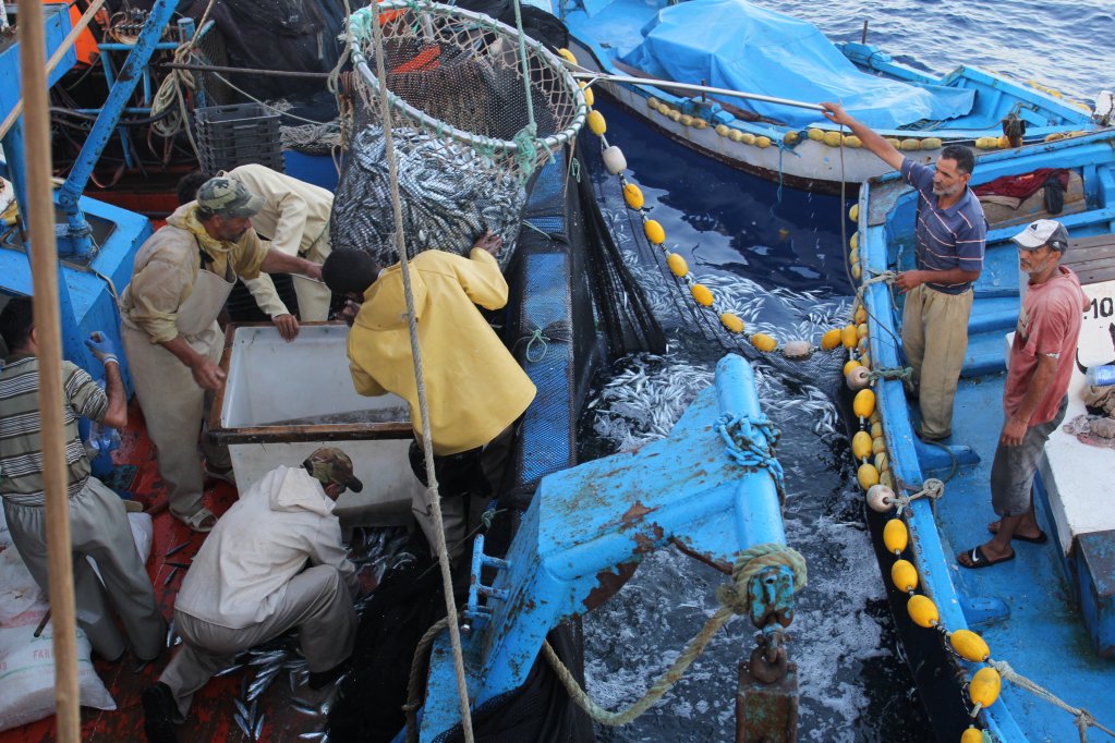 From file: Fishing boats are often caught up in attacks and controls in the Mediterranean. They sometimes provide help to migrants trying to cross the Mediterranean too | Photo: Courtesy of Giulia Bertoluzzi, Strange Fish and Small Boss productions