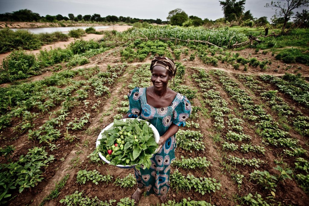 From file: Legal seasonal work permits to work in Italy have already been increased, declared Tajani | Photo: ANSA/Oxfam