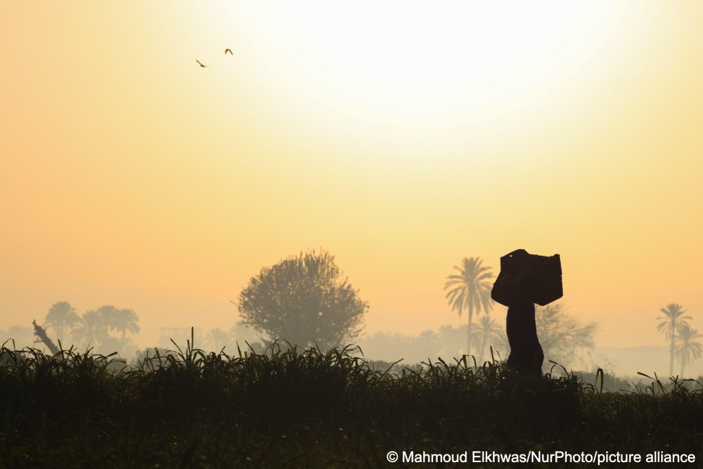 File photo used as illustration: Many of those who migrate from Egypt do so from rural areas, often whole communities have networks in countries like Italy, which provide work but also make it difficult to be honest about the harsh reality facing many on arrival in Europe | Photo: Mahmoud Elkhwas/NurPhoto / picture alliance