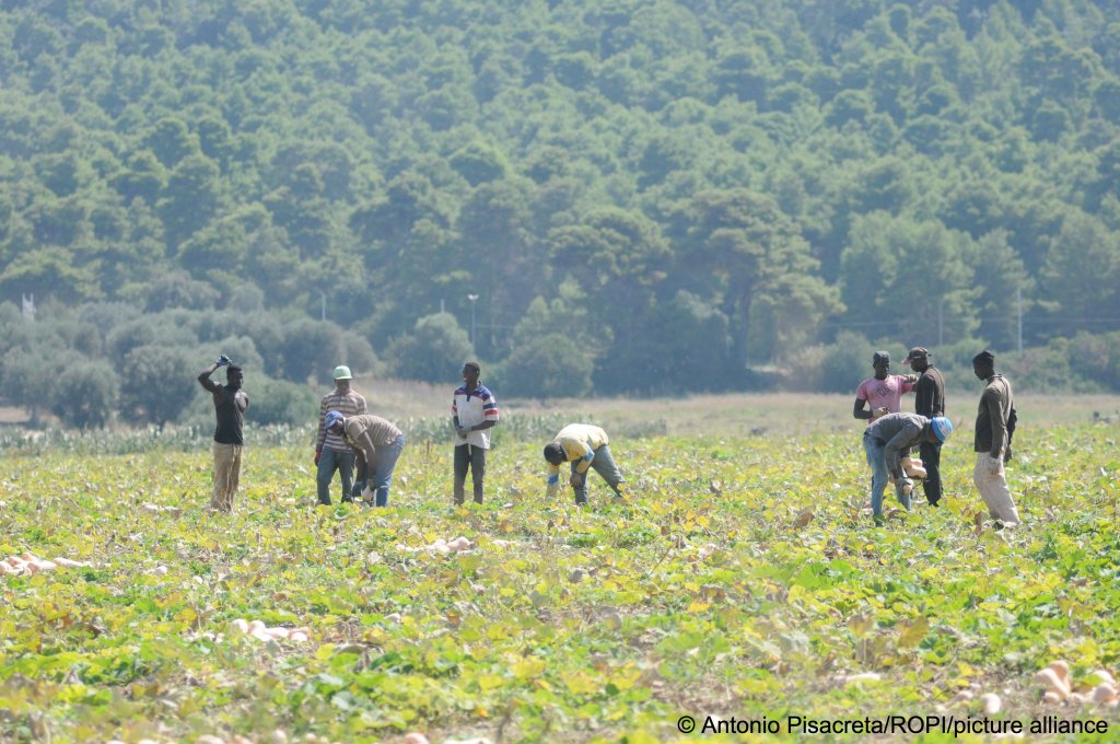 From file: Foreign seasonal workers in Italy | Photo: Picture-alliance
