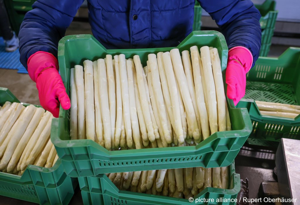 From file: Seasonal and 'guest workers' are still important to the German economy | Photo: Rupert Oberhäuser / picture alliance