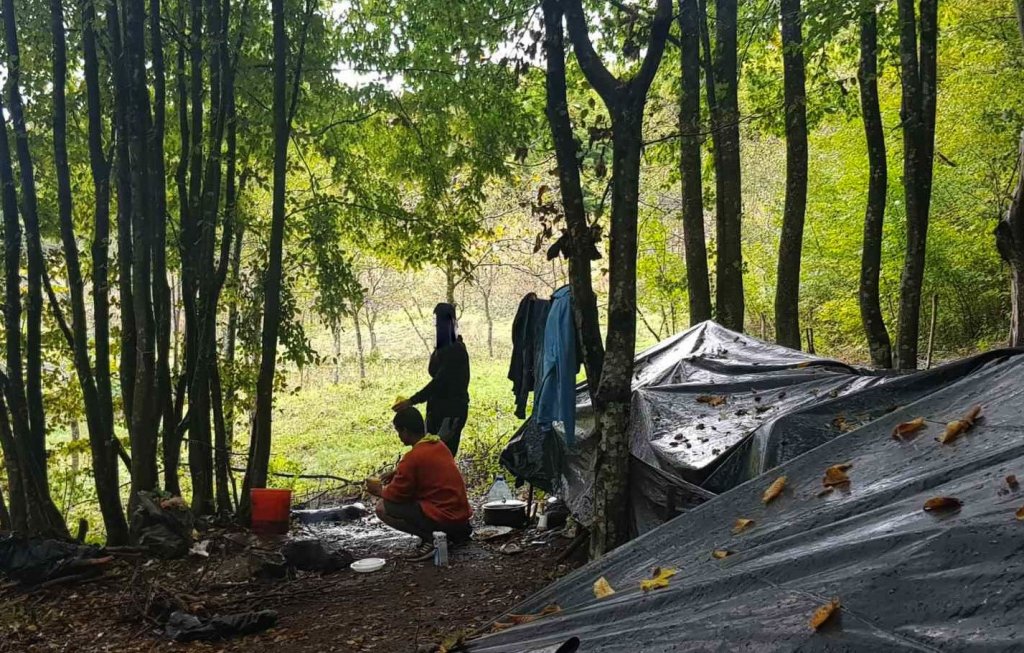 بعض اللاجئين لم يجدوا بدا من بناء مأوى من البلاستيك داخل الغابات -صورة: IOM