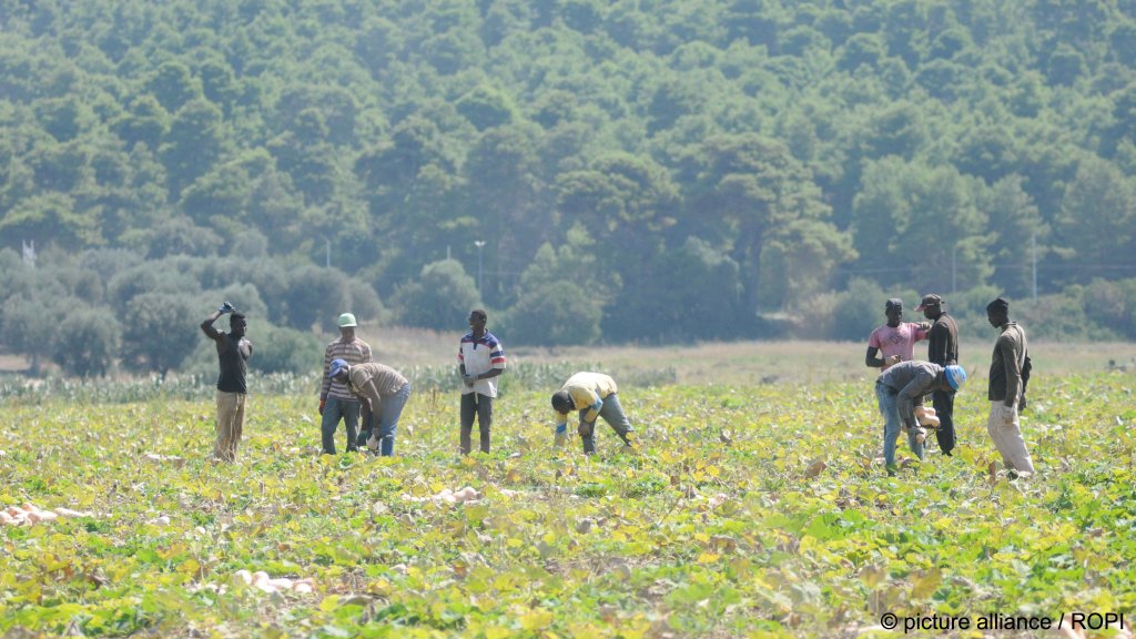 From file: Seasonal farmworkers in Italy. Many work in appalling conditions and are exploited by the gangmaster or caporalato system | Photo: Antonio Pisacreta /picture alliance / ROPI