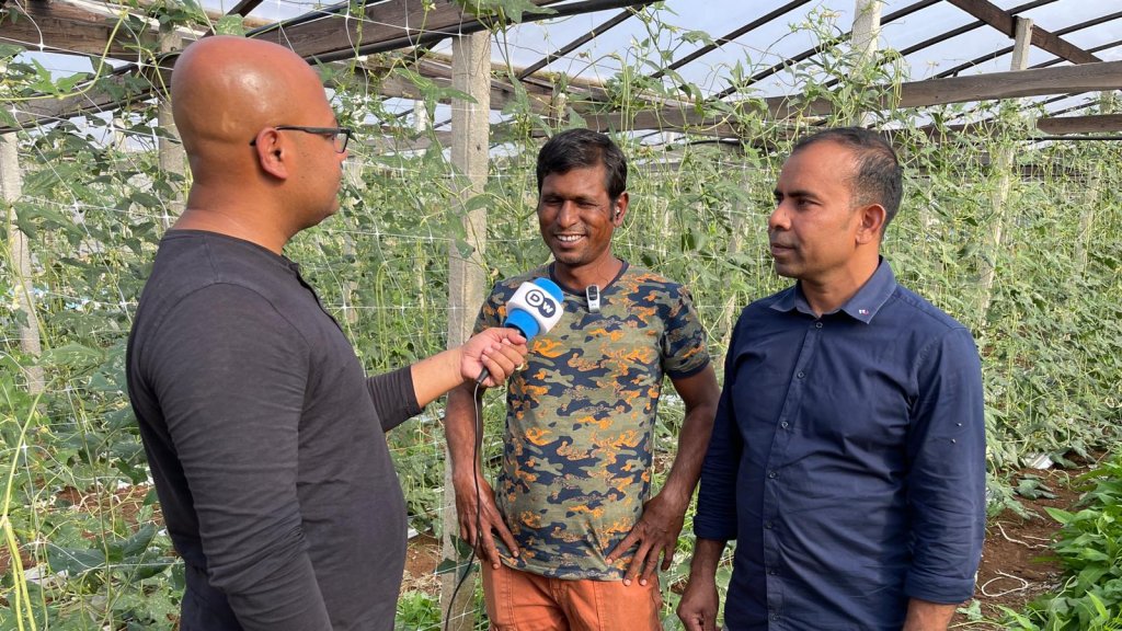File photo used as illustration: Bangladeshi Migrants who established an agricultural farm in Sicily, Italy speaks with Infomigrants. A European success story is of high social value in Bangladesh | Photo: Emma Wallis/Infomigrants