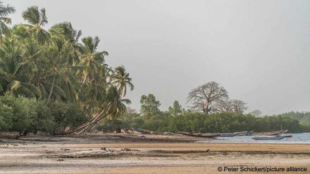 File photo used for illustration: Palm trees at the river shore, Jinack Island, Gambia, West Africa | Photo: Picture-alliance