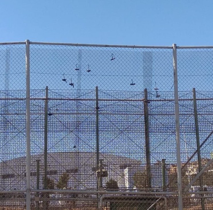 Les migrants utilisent des crochets, visibles sur la photo, pour escalader et descendre les clôtures entre le Maroc et Melilla. Crédit : Solidary Wheels