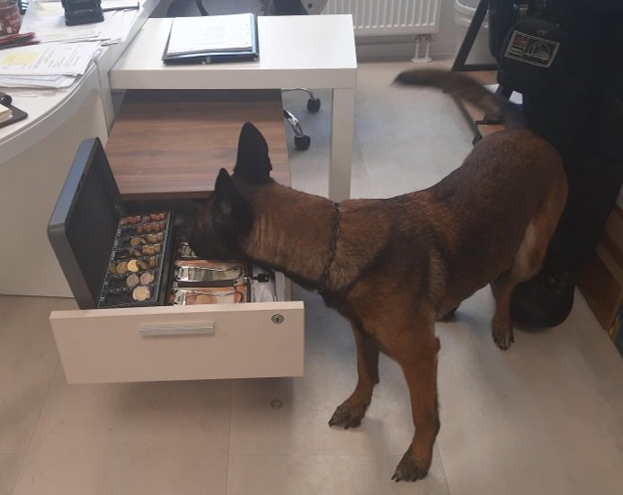 A German police dog used during the raids across Germany | Photo: German Police Press Release Bundespolizei