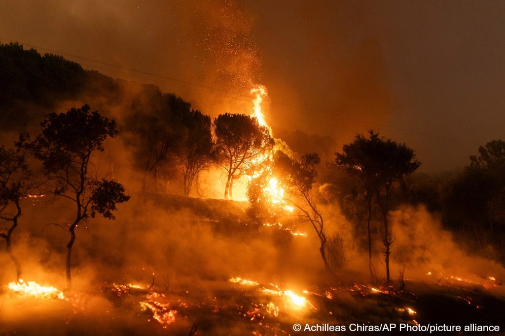 Deadly wildfires devastated large areas of Greece | Photo: Achilleas Chiras