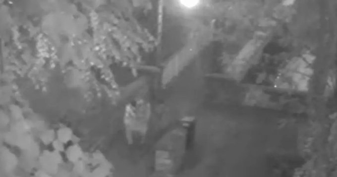 A screenshot from some of the CCTV footage shows V walking in between the two asylum seekers on their way to where the crime took place | Source: X feed from local news portal Coventry live @live_coventry