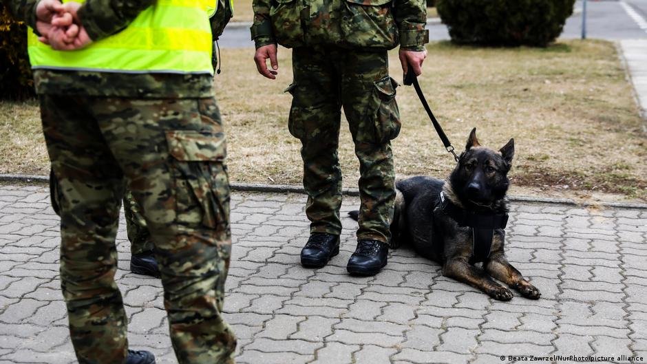 From file: Border guard patrols under Poland's previous PiS government in 2023 | Photo: Beata Zawrzel/NurPhoto/picture alliance