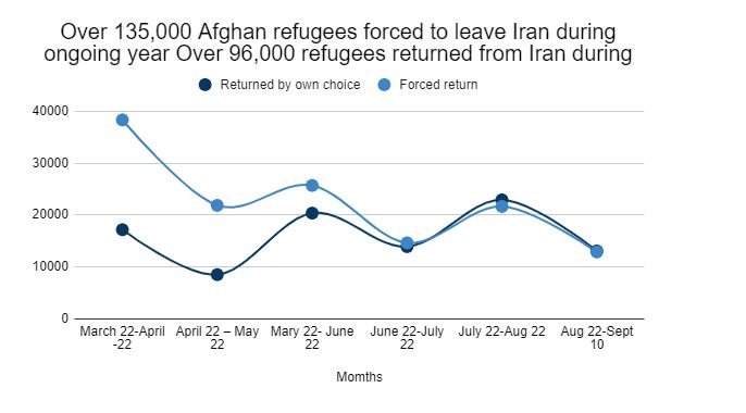 بر اساس ارقام آژانس پژواک، حدود ۹۶ هزار افغان نیز داوطلبانه از ایران به افغانستان برگشته‌اند.