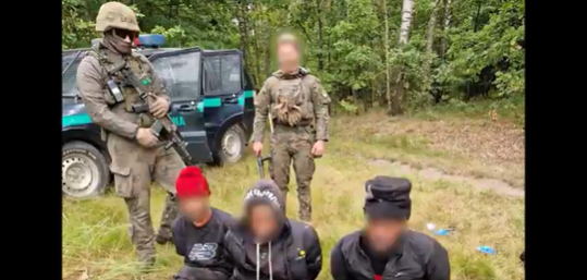 The group of migrants who used the portable toilet to cross the fence were apprehended several hundred meters from the border, say the Polish authorities | Source: Screenshot video posted by Polish Border Guard on X |Straz-Graniczna