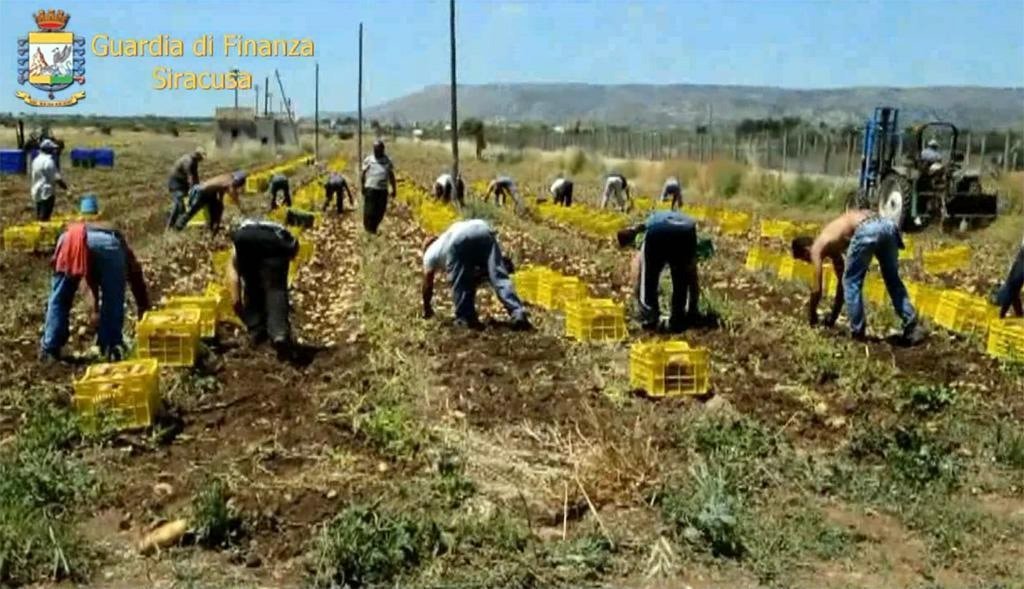 يقع العديد من المهاجرين غير القانونيين في ضحية استغلال في سوق العمل، غير قادرين على الوصول إلى العديد من الخدمات في ظل عدم حصولهم على الجواز الأخضر