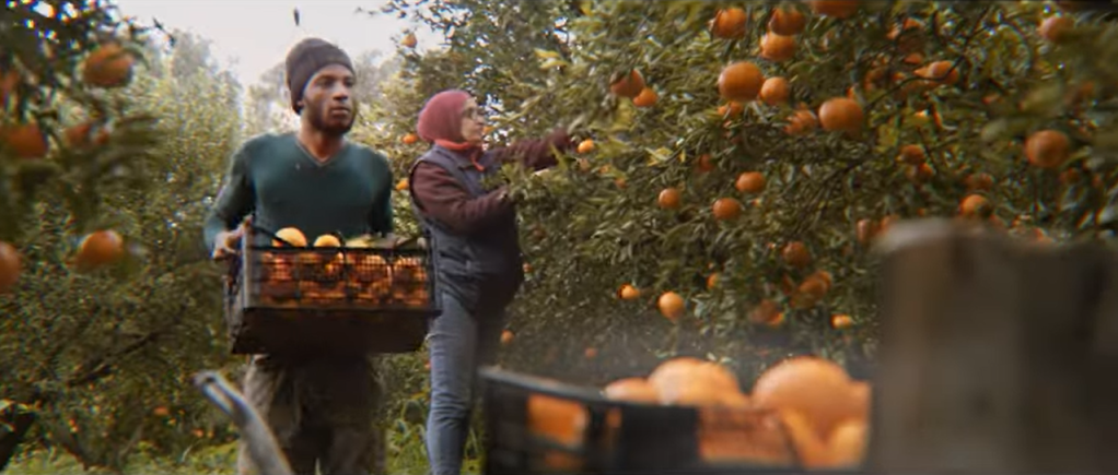 Sicily's economy is hugely dependent on agriculture but the authoritiees have identified at least 53 instances of exploitation across the island in the latest report on the subject, published in 2020 | Photo: Screenshot from Sicilian Region's Diritti negli Occhi campaign to give rights to migrant workers