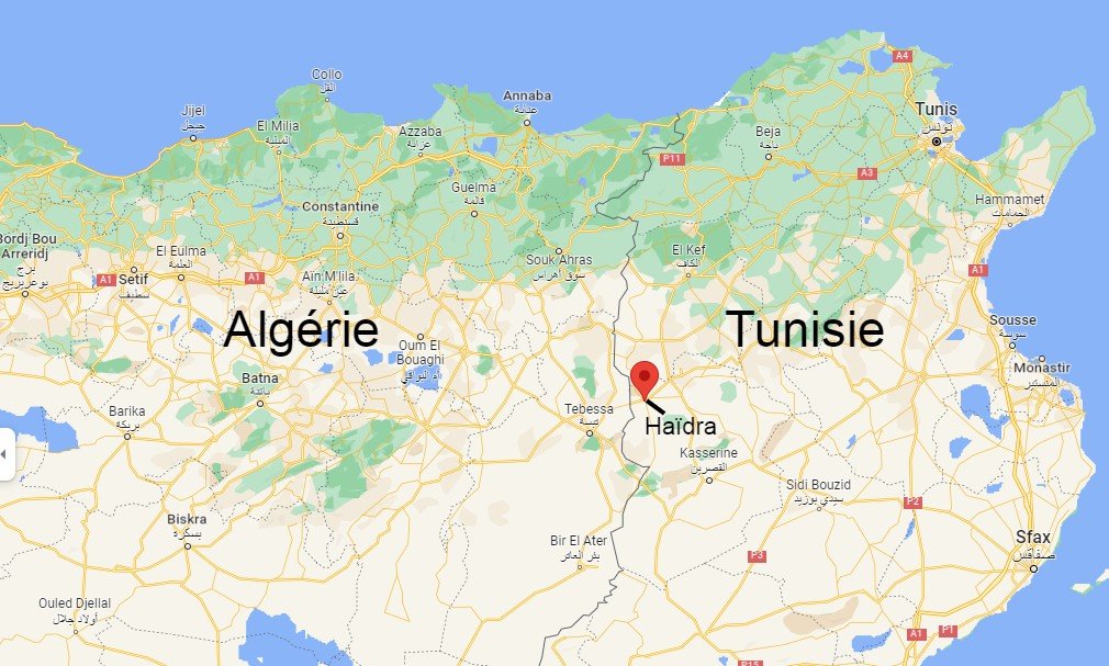 Les corps des migrants ont été retrouvés à la frontière entre la Tunisie et l'Algérie. Crédit : Google maps