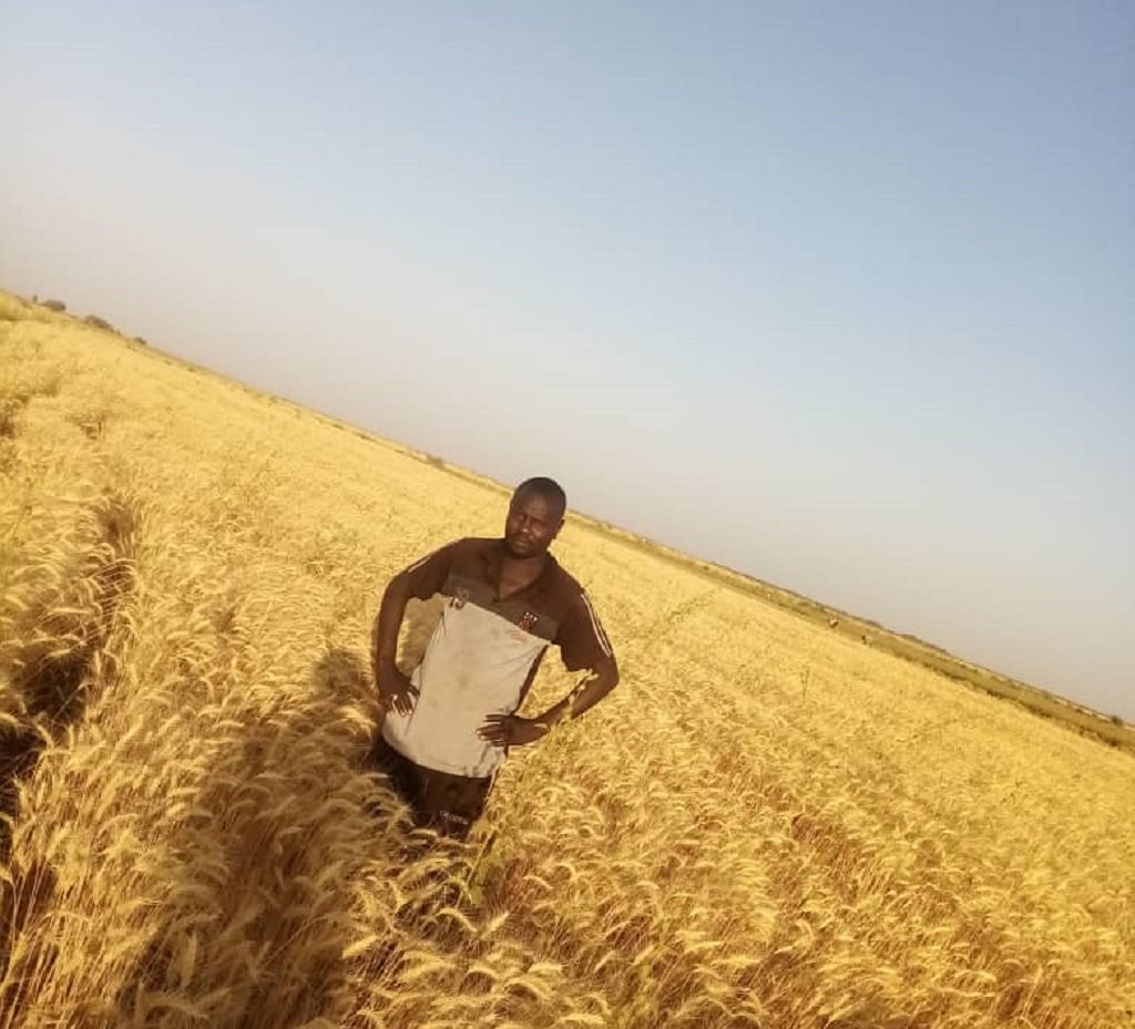 أبو القاسم آدم إدريس، مهاجر سوداني كان في ألمانيا واختار العودة الطوعية إلى بلاده
