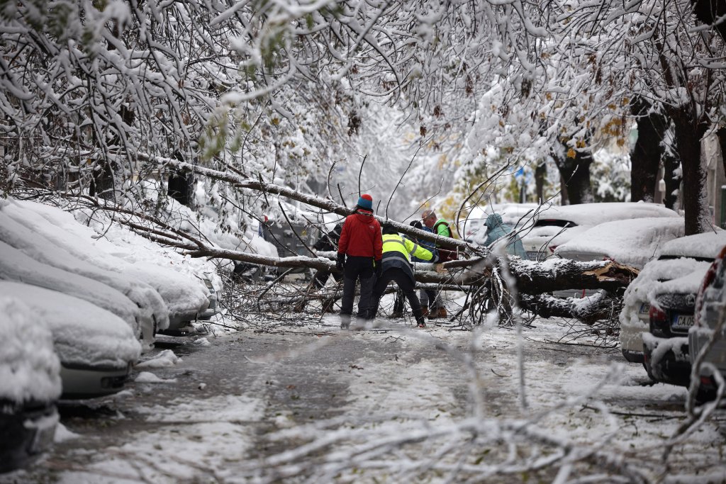 People try to remove fallen tree following heavy snowfall in Sofia, Bulgaria, November 26, 2023. REUTERS/Stoyan Nenov