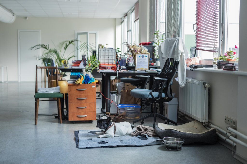 Irisha's desk and dog on the 1st floor of the Tavi Draugi warehouse in Riga, Latvia | Photo: Martin Thaulow