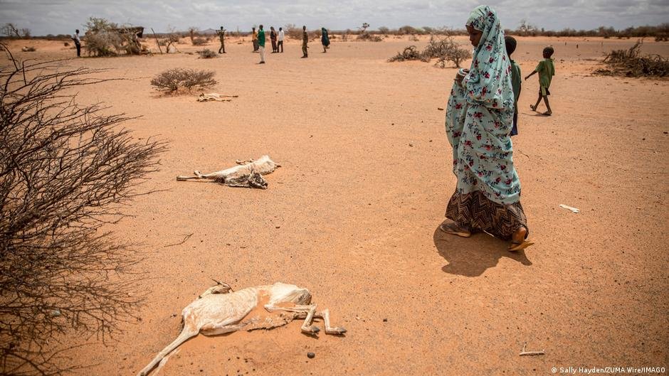 Even with growing aid initiatives, people on the Horn of Africa are facing acute starvation | Photo: Sally Hayden/Zuma Wire/Imago